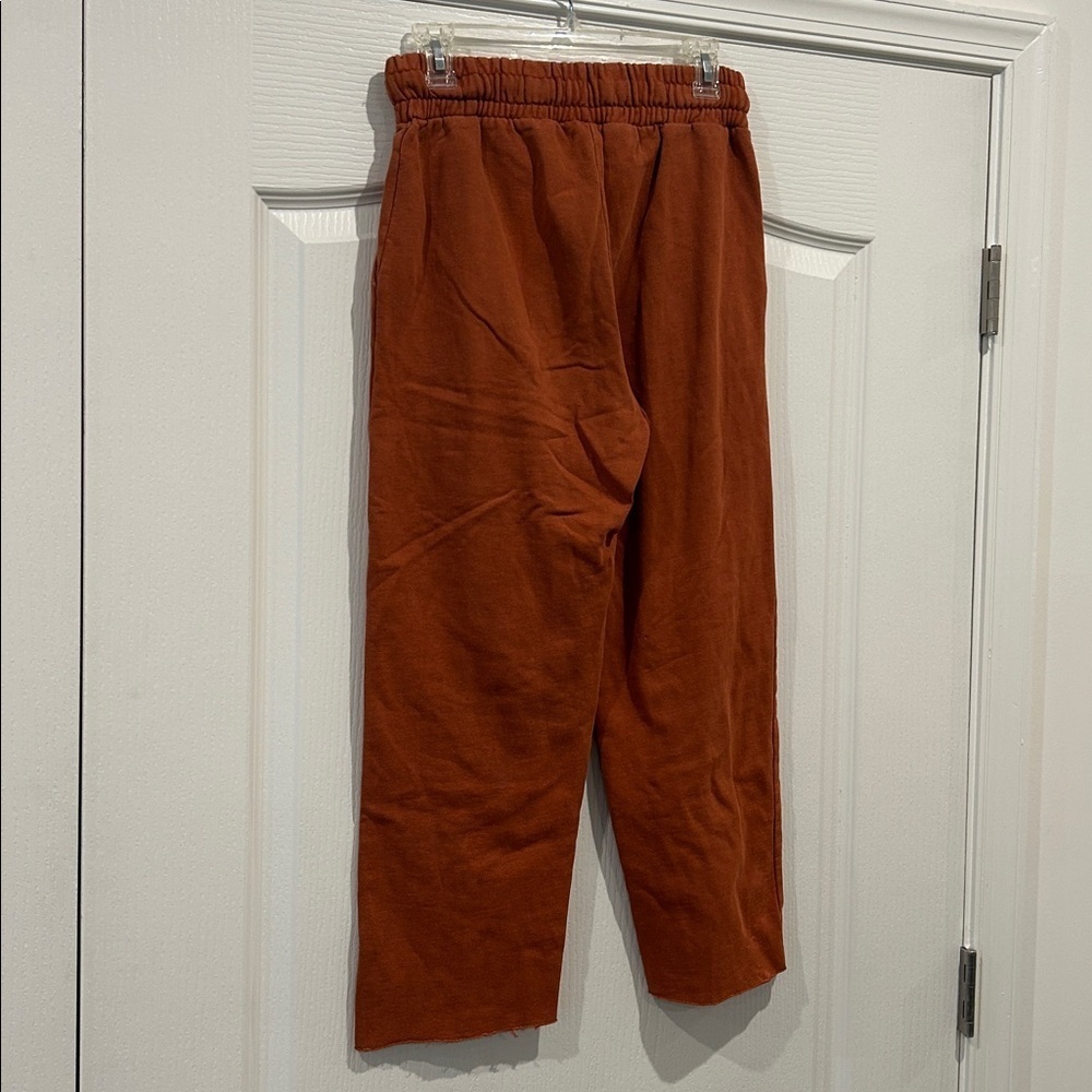 Urban Outfitters Rust Sweatpants - Picture 4 of 4